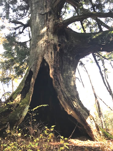 水彩画家・長尾１周二１９１１２４２