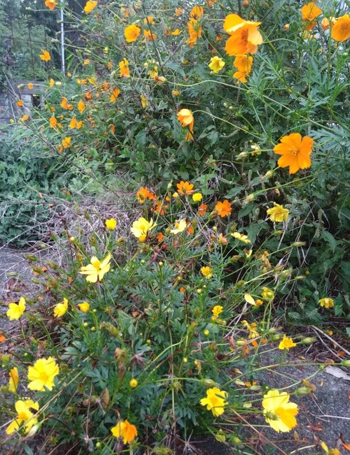 459953F4-EBB3-4F6F-9E7C-5BECCB453566