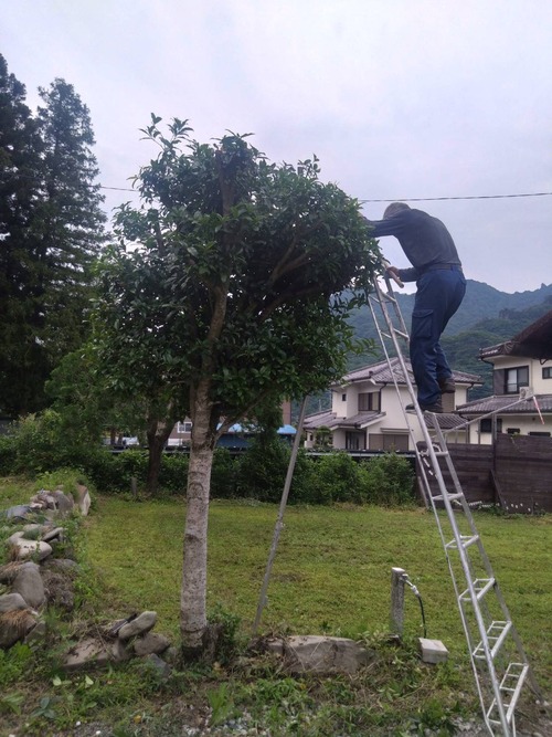 97224612-B24F-4BD9-AEA1-74887355DFEA