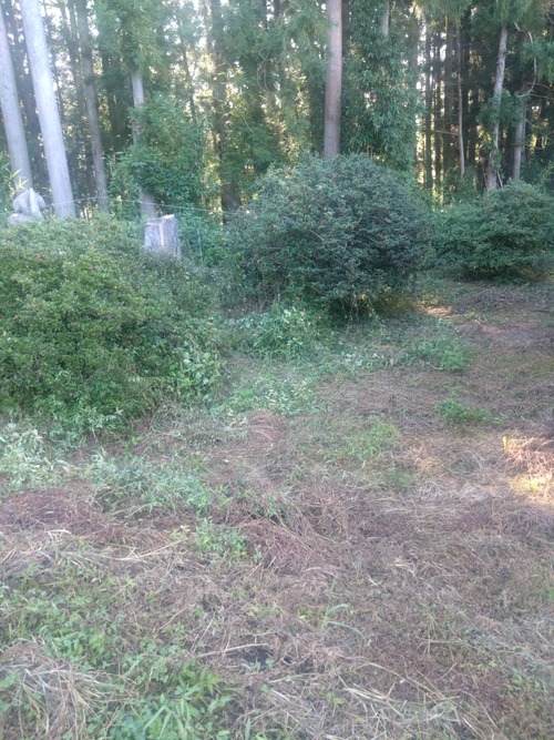 CAF83962-DE55-4F61-927B-19D739B6A593