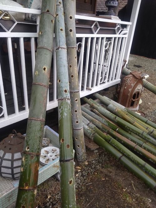 BE769DD3-0B86-455C-B445-E7642005D4B3