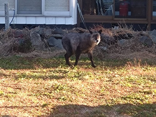 E69032DF-4B26-416A-BBEA-127130976483