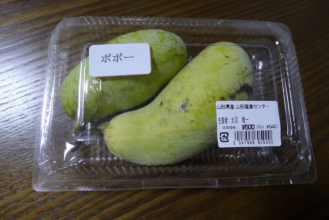 ポポー 小白川ベースゆるブログ たま に歯科 ポポー 小白川ベースゆるブログ たま に歯科