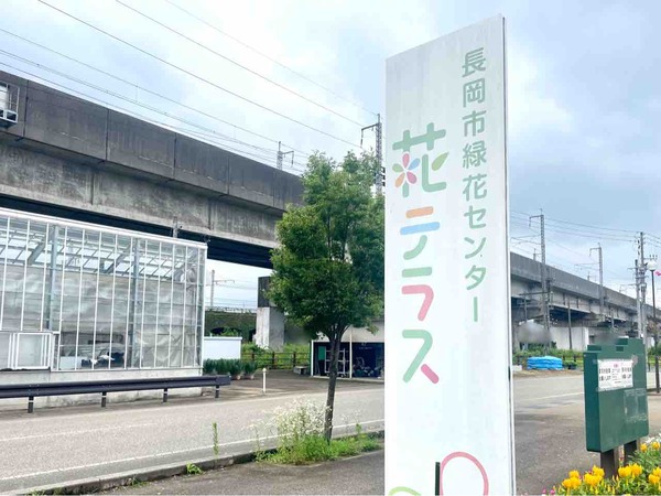 花テラス