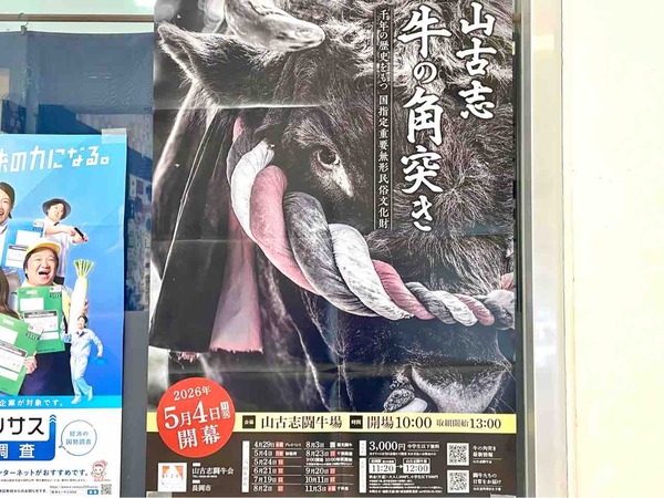 闘牛