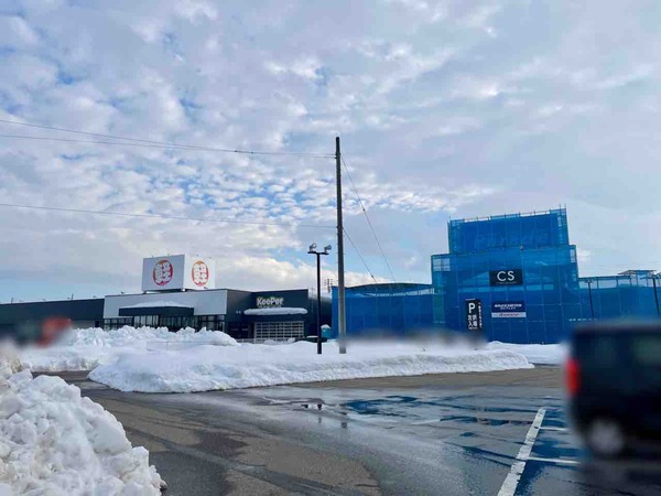 スケッチャーズ