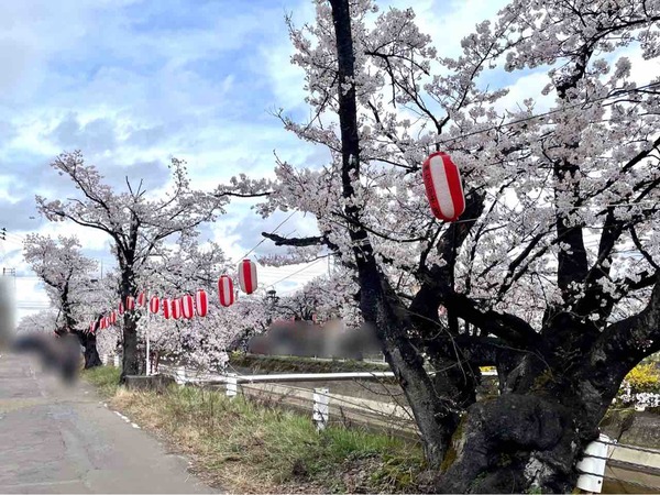 福島江１