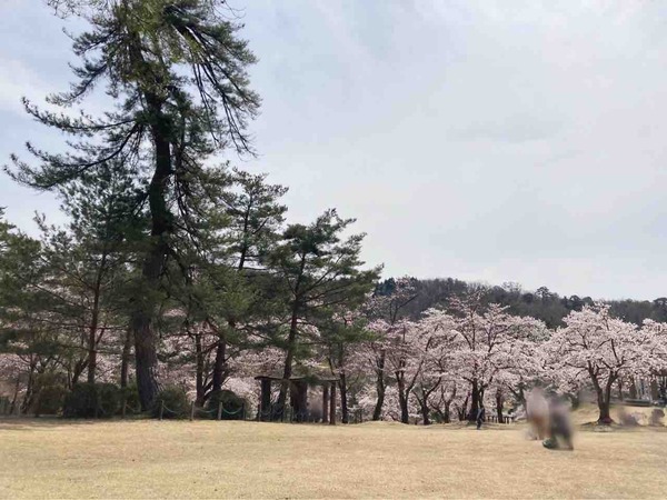 悠久山３