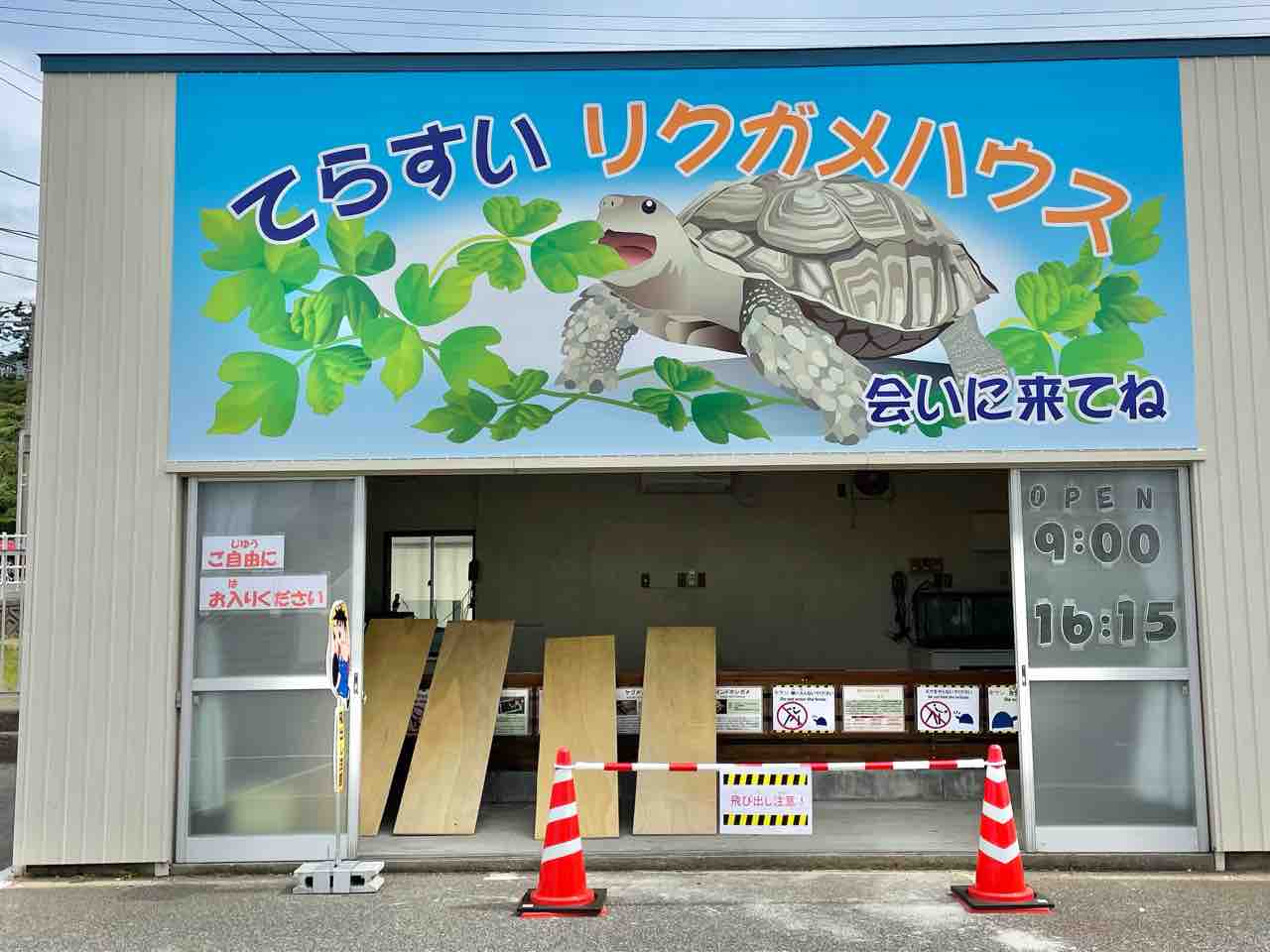 カメたちの新施設 長岡市寺泊水族博物館 にオープンした てらすいリクガメハウス 行ってみた ながおか通信