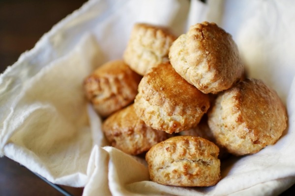scone studio nico