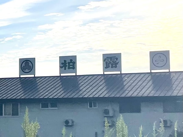 柏露
