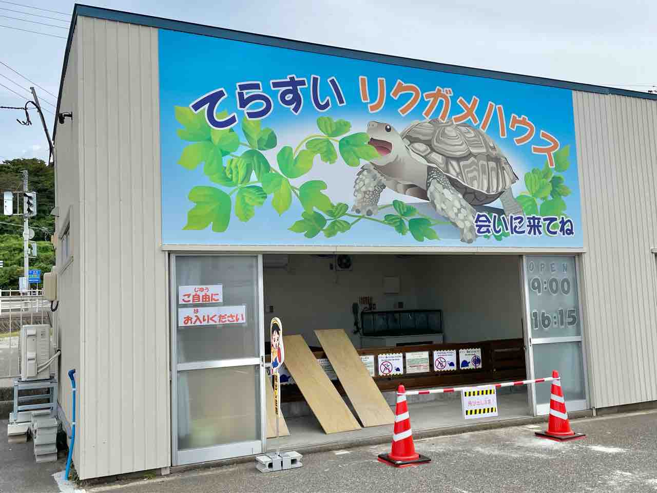 カメたちの新施設 長岡市寺泊水族博物館 にオープンした てらすいリクガメハウス 行ってみた ながおか通信 カメたちの新施設 長岡市寺泊水族博物館 にオープンした てらすいリクガメハウス 行ってみた ながおか通信