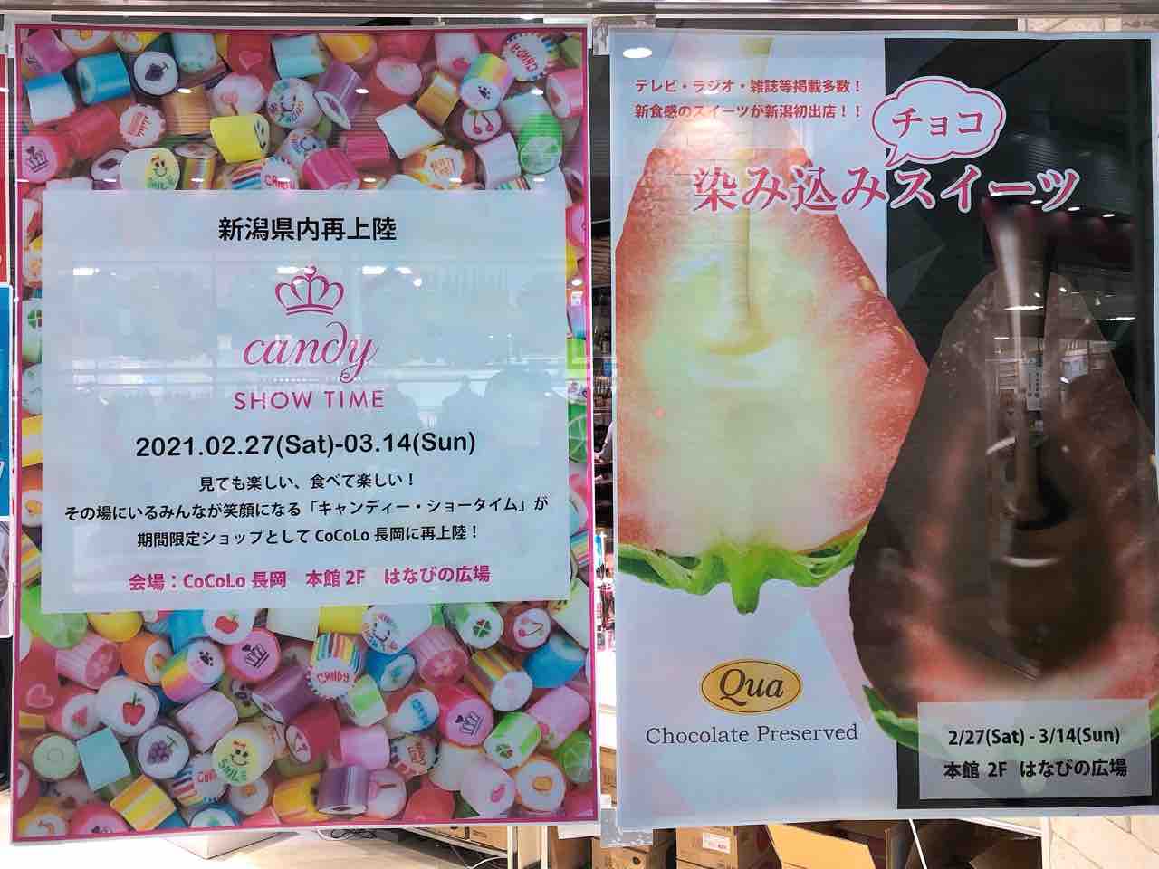 期間限定 Cocolo長岡 に 染み込みチョコスイーツqua クア と Candy Show Time キャンディー ショータイム がオープンしてる 2月27日 3月14日 ながおか通信 期間限定 Cocolo長岡 に 染み込みチョコスイーツqua クア と Candy Show Time キャンディー ショータイム がオープンしてる 2月27日 3月14日 ながおか通信