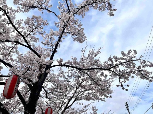 福島江