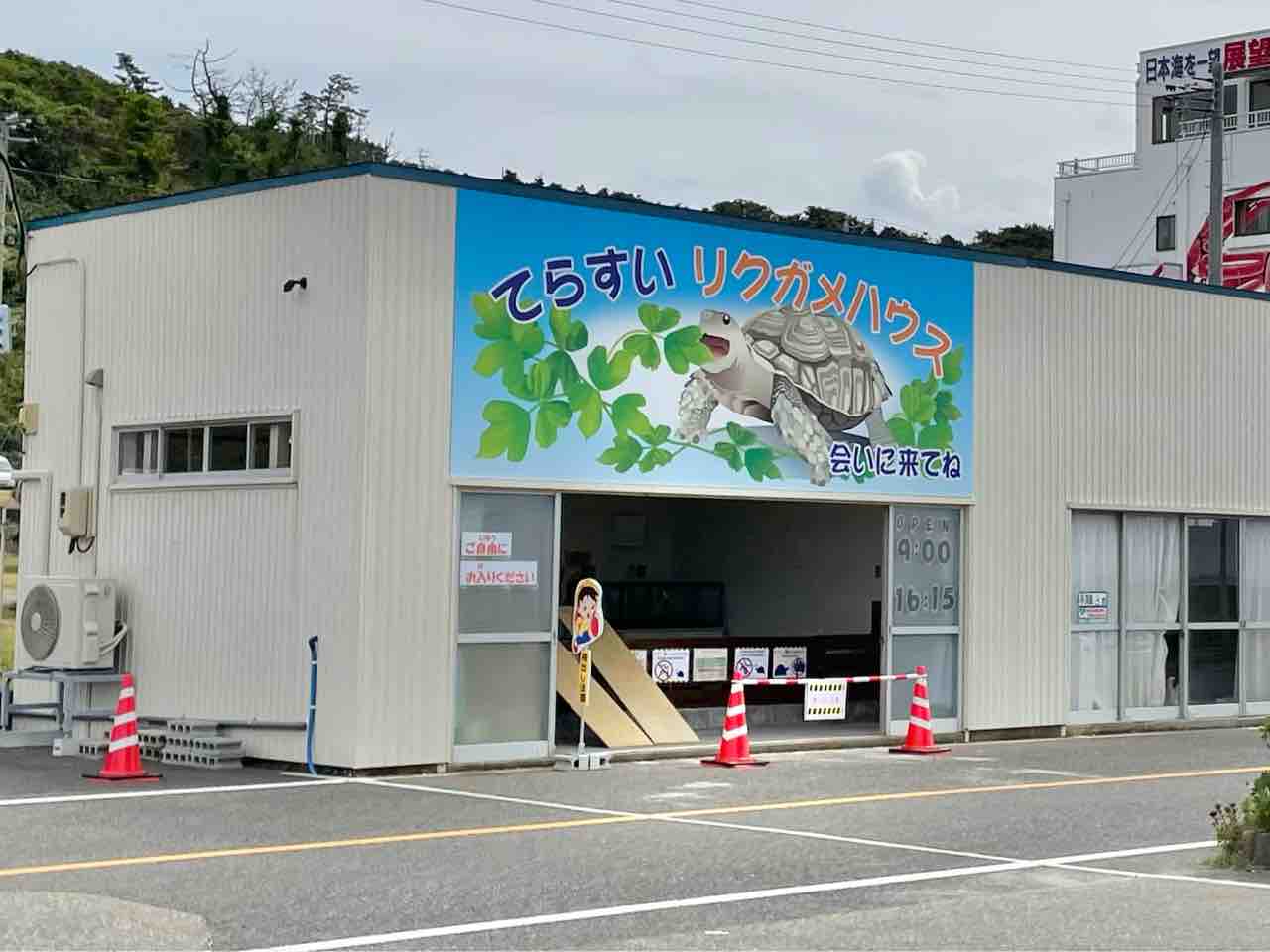 カメたちの新施設 長岡市寺泊水族博物館 にオープンした てらすいリクガメハウス 行ってみた ながおか通信 カメたちの新施設 長岡市寺泊水族博物館 にオープンした てらすいリクガメハウス 行ってみた ながおか通信