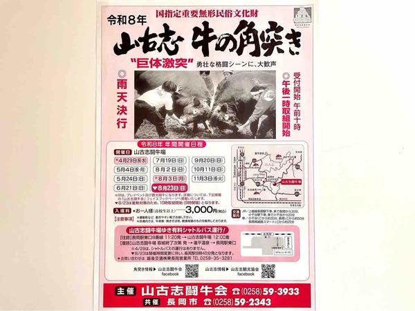 闘牛