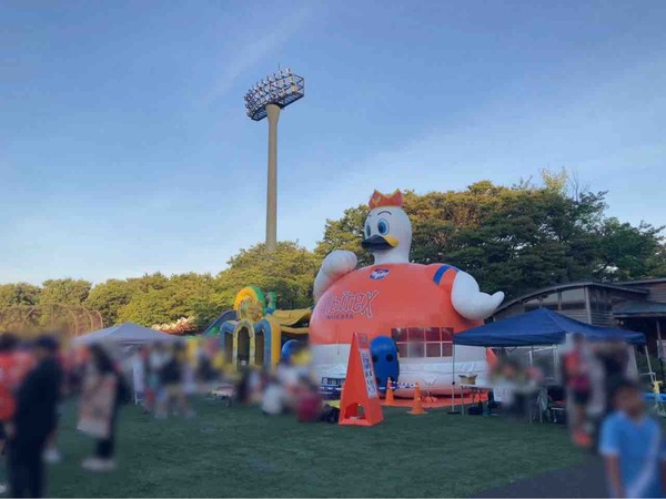 アルビレックス新潟