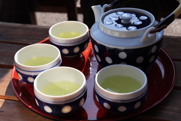 新潟お茶フェス