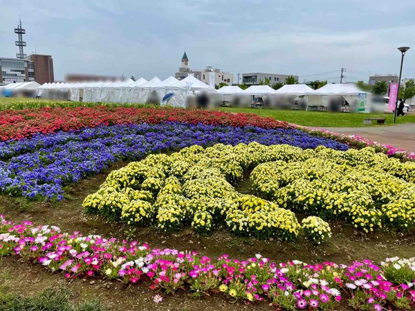 花も緑もメルシェもグルメも！『長岡市民防災公園』で『第34回長岡市花いっぱいフェア2026』開催！5月23日、24日。