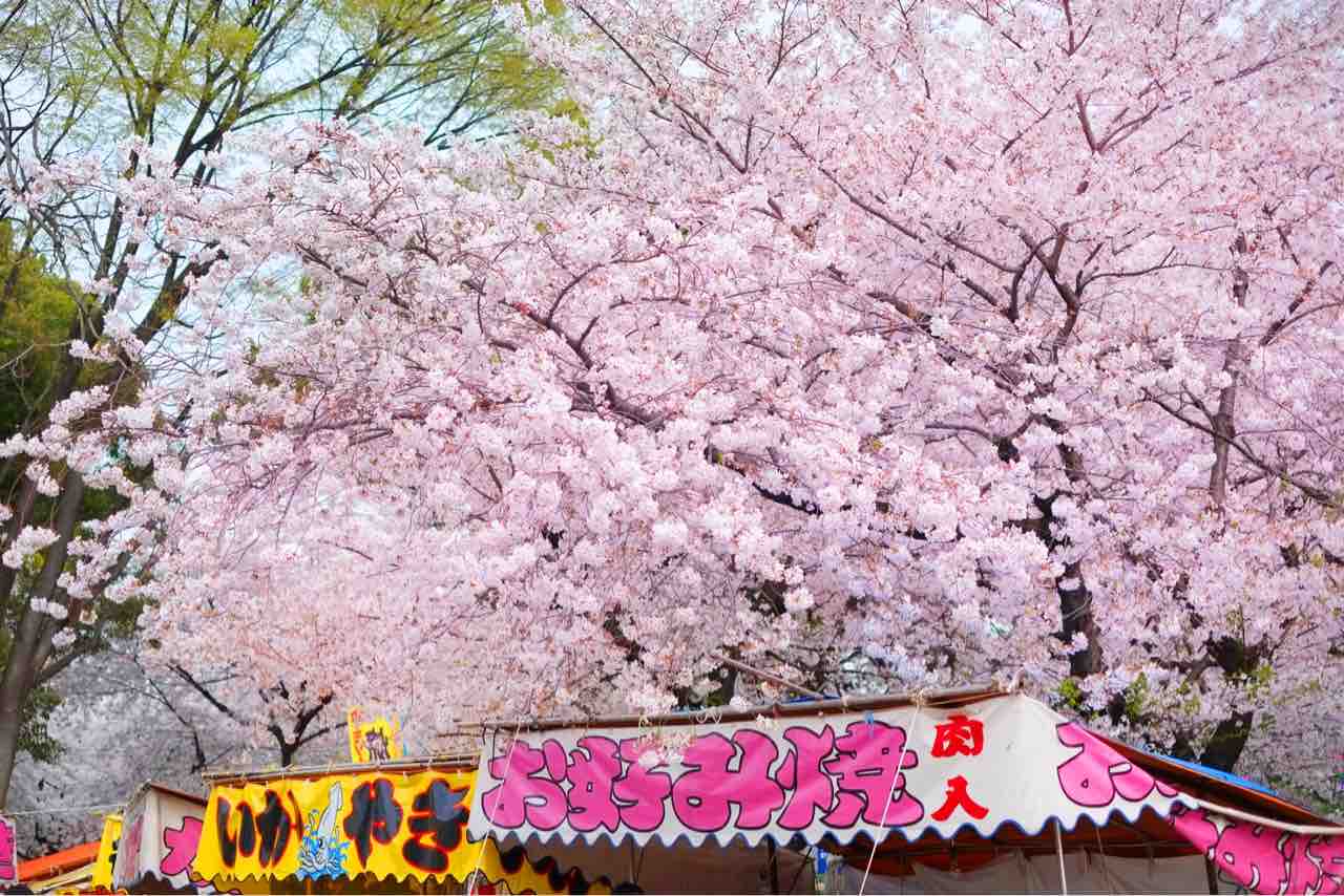 2年連続中止に 悠久山公園 の 令和3年度 悠久山桜まつり が新型コロナウイルス感染拡大防止のため中止が決定したらしい ながおか通信 2年連続中止に 悠久山公園 の 令和3年度 悠久山桜まつり が新型コロナウイルス感染拡大防止のため中止が決定したらしい ながおか通信