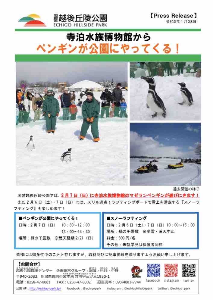 延期7日 21日 国営越後丘陵公園 にペンギンたちが出張 寺泊水族博物館 の マゼランペンギン がやってくる 2月7日 ながおか通信