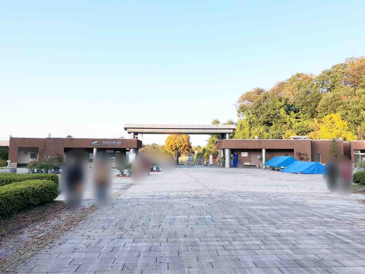 新潟県民限定 一夜限りのスペシャルイベント 国営越後丘陵公園 で 長岡花火ウインターファンタジー 開催決定 12月5日 観覧券発売開始 ながおか通信 新潟県民限定 一夜限りのスペシャルイベント 国営越後丘陵公園 で 長岡花火ウインターファンタジー 開催決定 12月5日 観覧券発売開始 ながおか通信