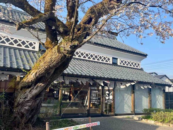 米蔵