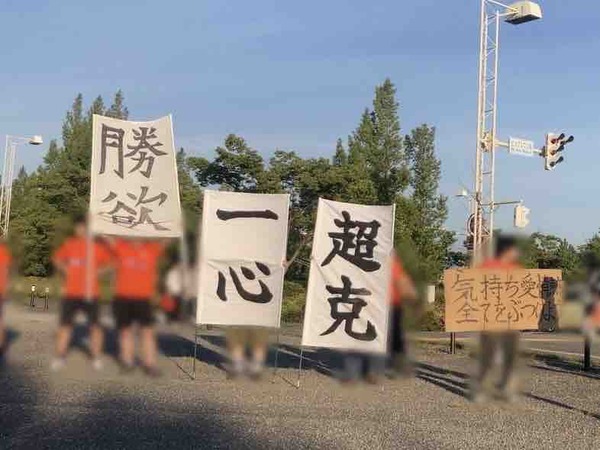 アルビレックス新潟