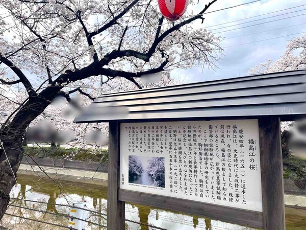 福島江