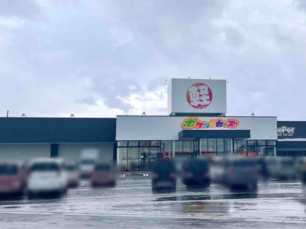 ポケットカーズ