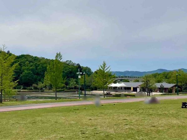 公園