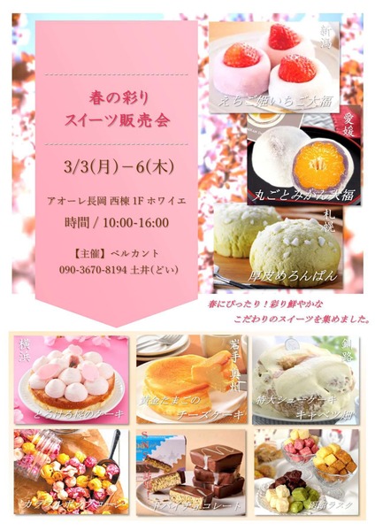 7ae73397e50ecab9b7733478b858c8a6-6_page-0001