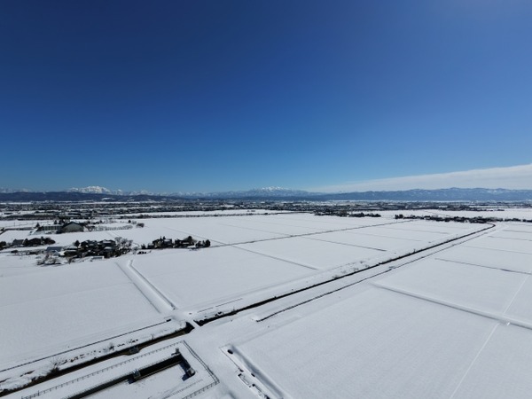 バナナマンのせっかくグルメ