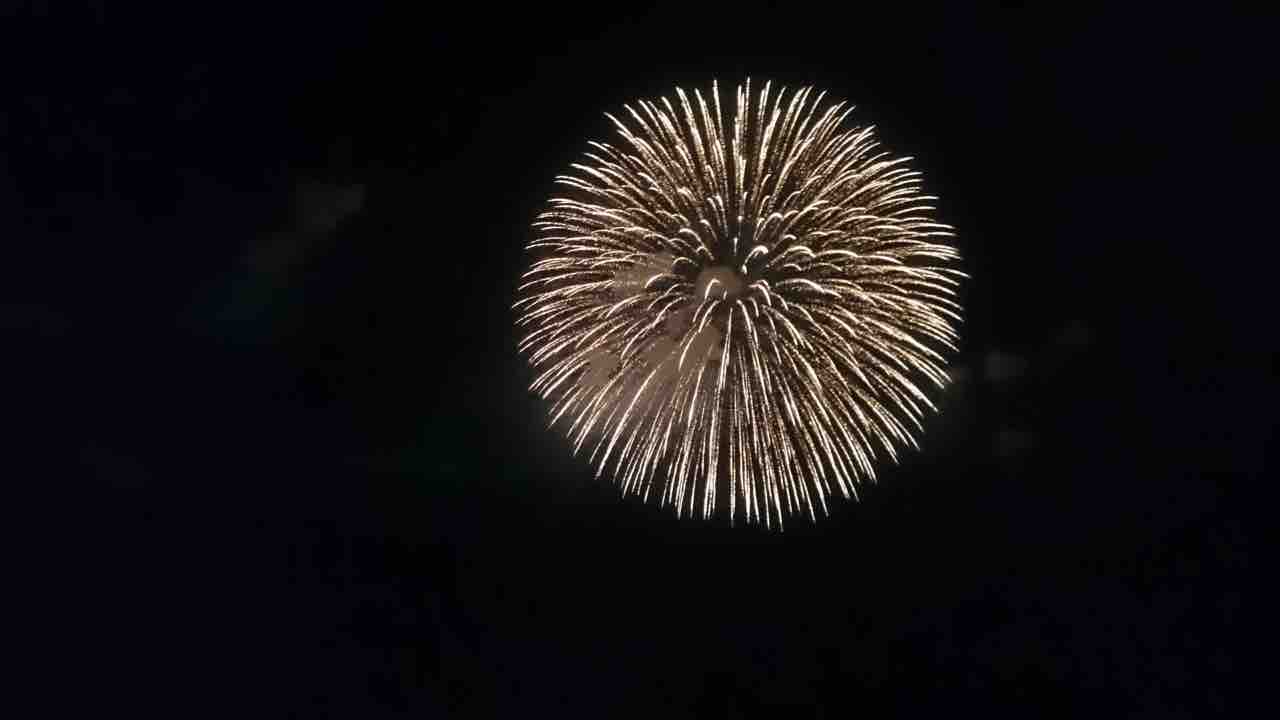 光を灯してつなごう 長岡花火大会 は中止でも 慰霊花火 は例年通り開催 ウイルス早期終息の願いを込めた 金色の花火 も打ち上げ予定 8月1日 3日 ながおか通信