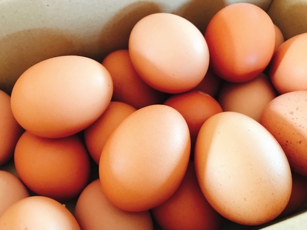 アキイロ縁日&アキイロマルシェ