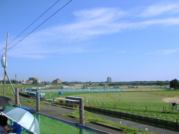 2891359_s