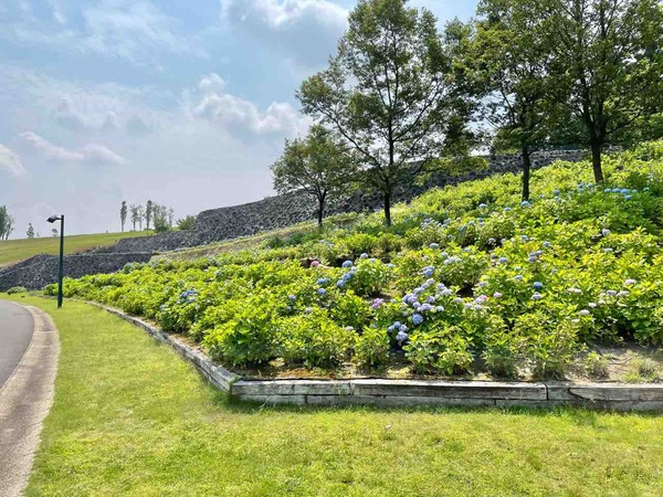 FullSizeRender