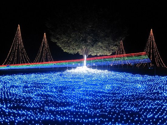 長岡の夏の夜の定番 サマーナイトプレゼンツ 間もなく開催終了 ながおか通信 長岡の夏の夜の定番 サマーナイトプレゼンツ 間もなく開催終了 ながおか通信