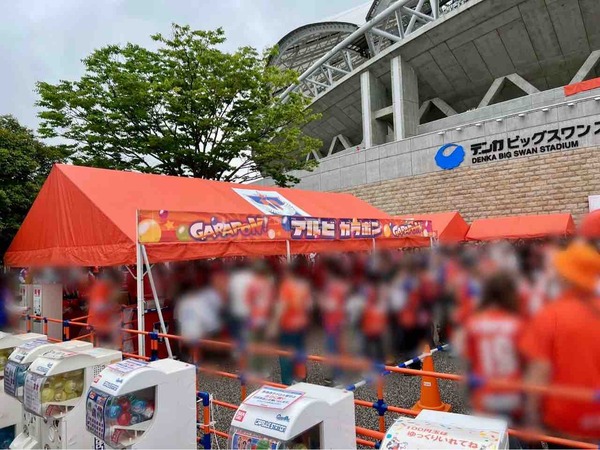 アルビレックス新潟