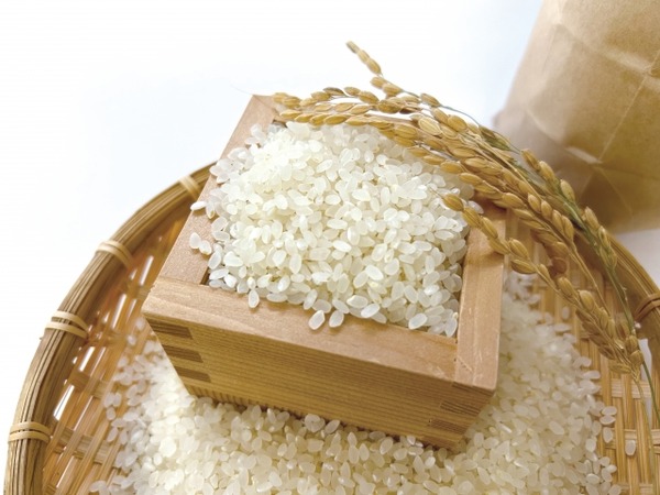 アキイロ縁日&アキイロマルシェ