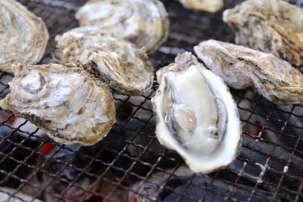 出張カキ小屋 牡蠣奉行