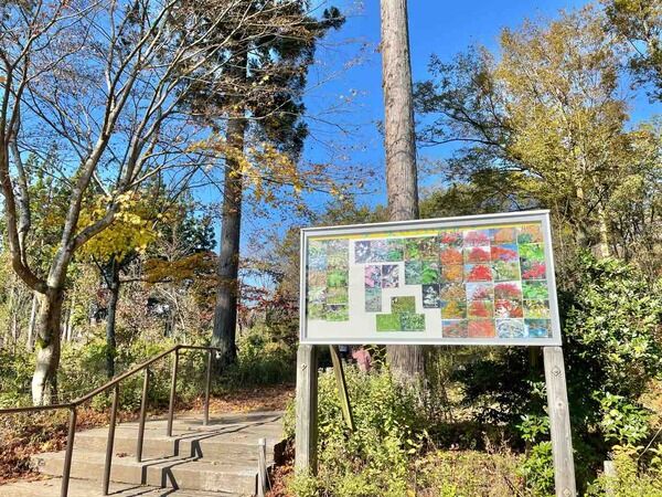 きのこ汁プレゼントに無料入園券も！『雪国植物園』で『雪国植物園 秋まつり』開催。10月25日～11月15日。