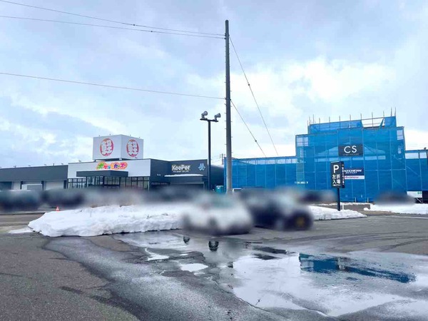 ポケットカーズ