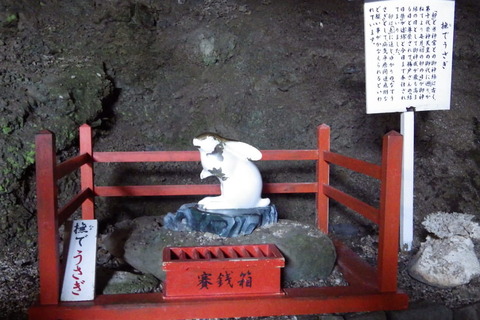 kiji1Img