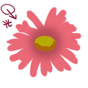 レポ ガーベラっぽい花の描き方 えはなびかい レポ ガーベラっぽい花の描き方 えはなびかい