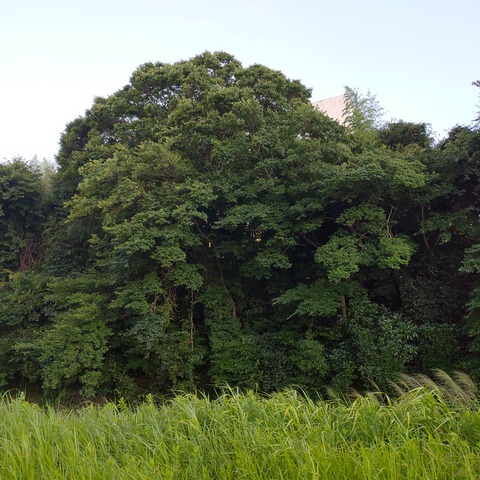 220723_190141