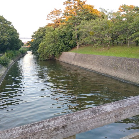 220723_184957