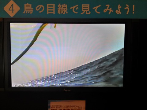 150710_103147