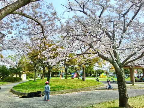 160405_151207