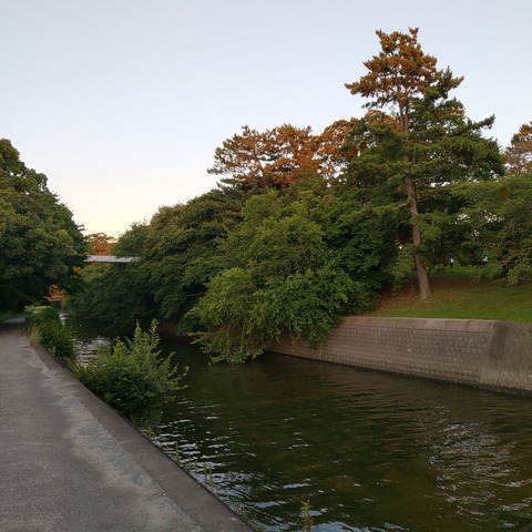 220723_185254